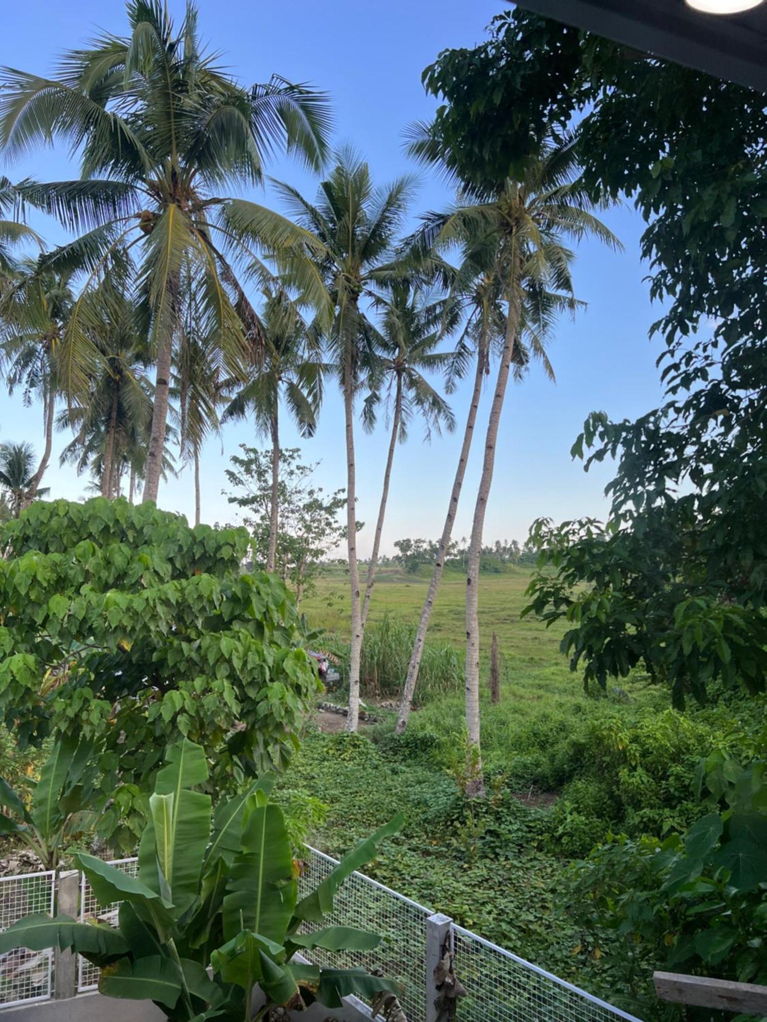 Summer Stay Sunrise W Starlink General Luna  Luaran gambar